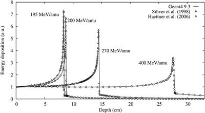 Challenges in Monte Carlo Simulations as Clinical and Research Tool in Particle Therapy: A Review